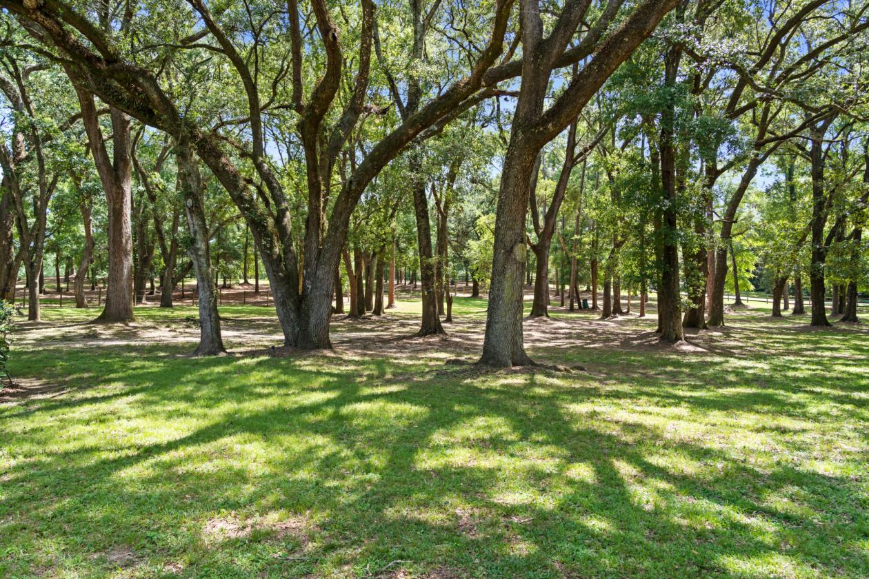 Coastal AL - French Country Estate 10+ Acres & Horses - photo 4