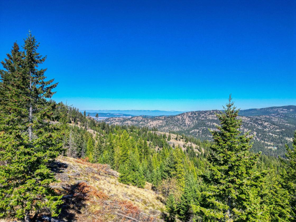 350 Acres & Private Access to MT Forest Service - photo 16