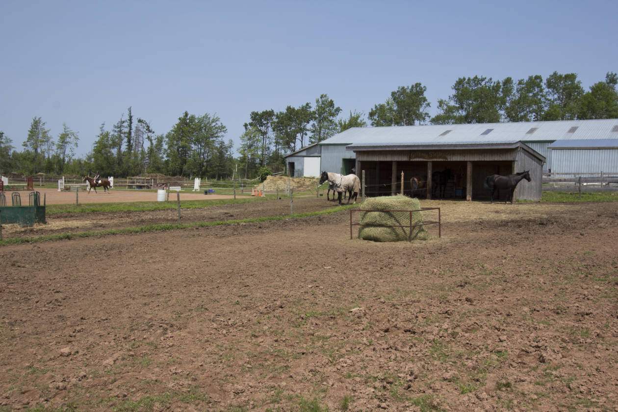 ESTABLISHED EQUESTRIAN STABLE Port Howe, Cumberland County, Nova