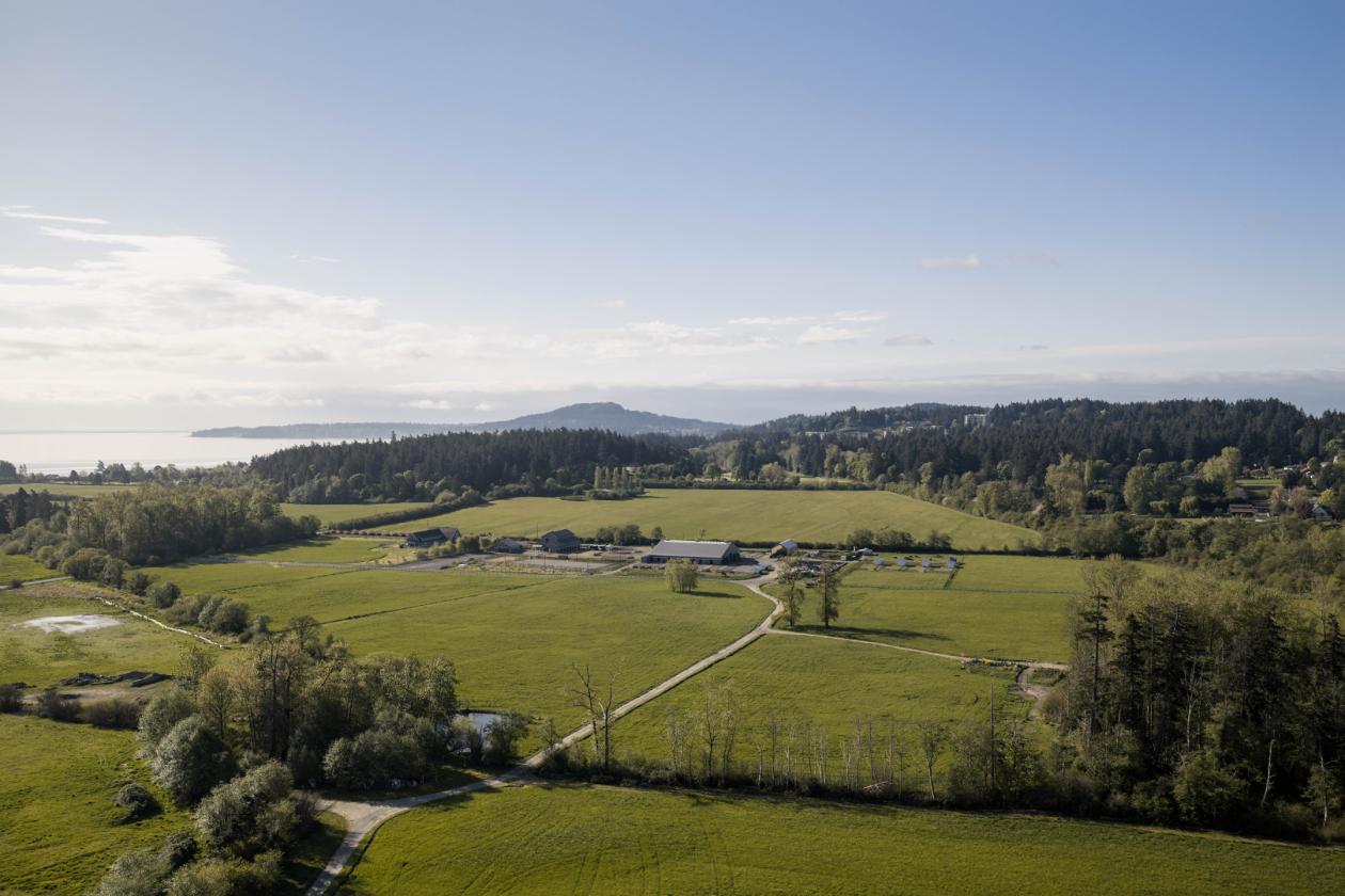 Pristine Estate Living near the City - photo 4