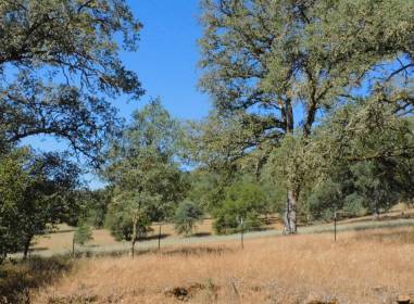 Property image.