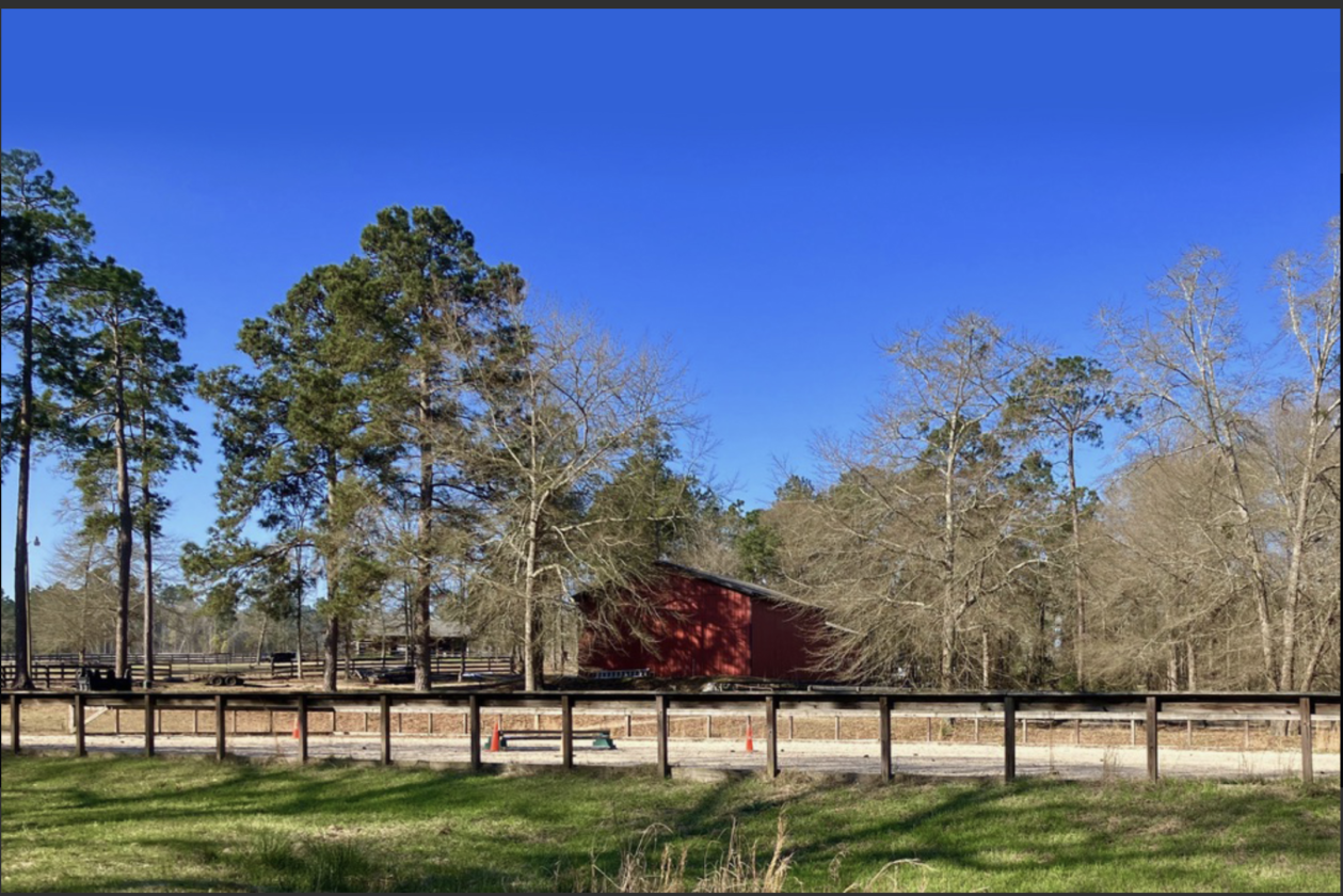 ONE OF A KIND HORSE FARM - photo 11