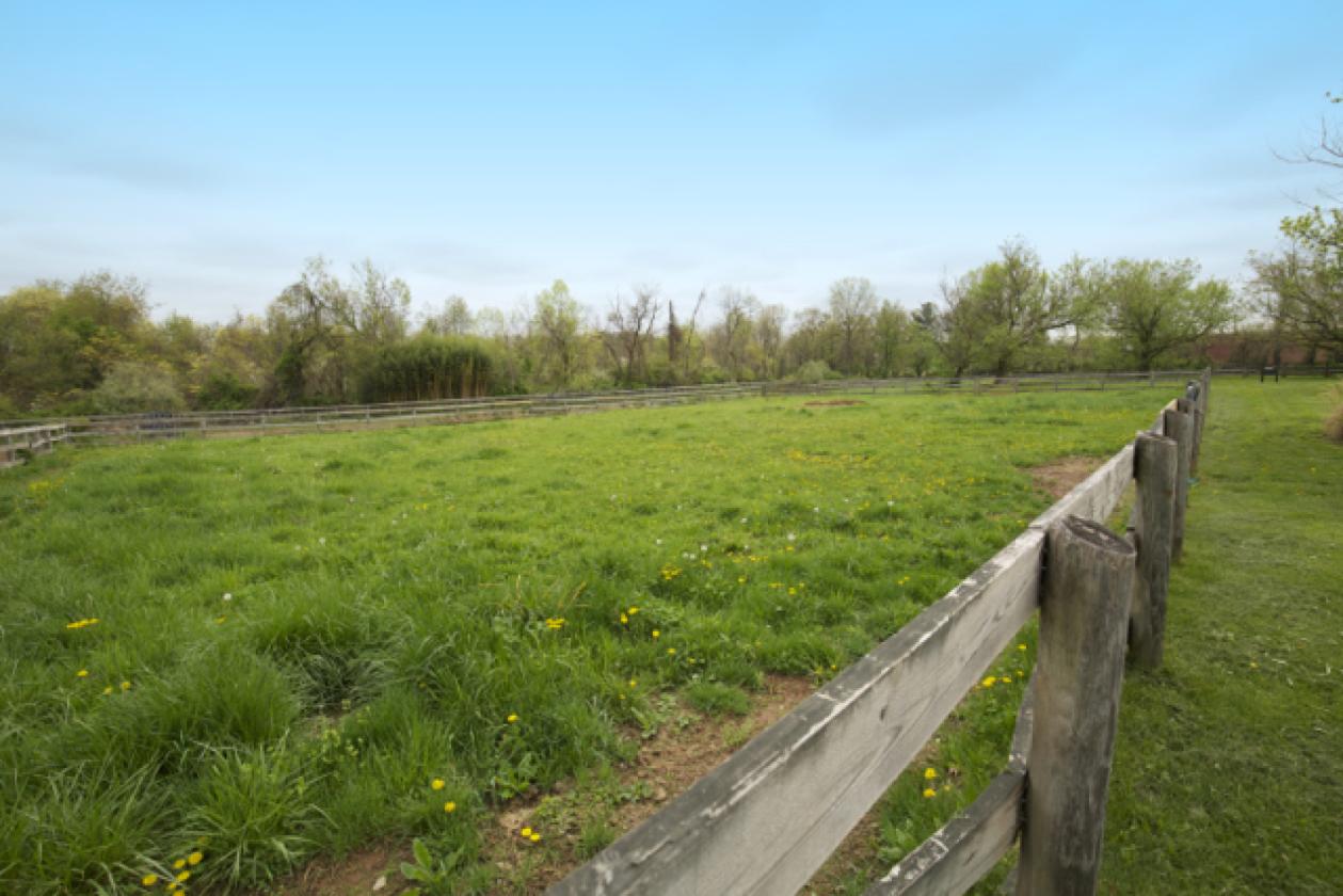 Thoughtfully Designed Horse Farm & Home - photo 8