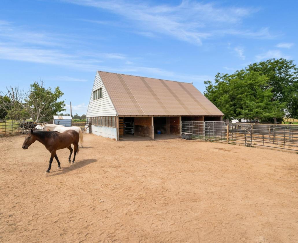 Turnkey Horse Farm and Cozy Home - photo 11