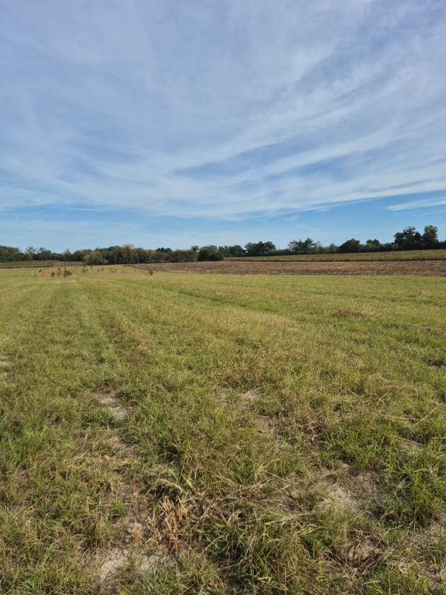 Prime 76 acre farm in Jackson County - photo 8