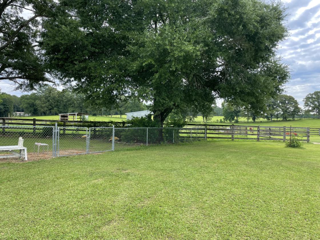 Beautiful Equestrian or Investment Farm 52 acres - photo 19
