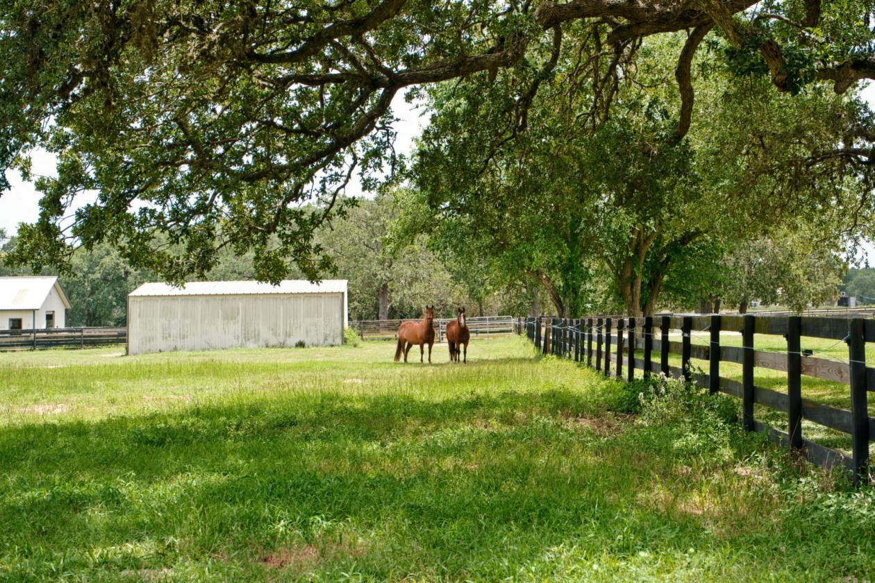 76 Ac. Braun Farm - photo 24
