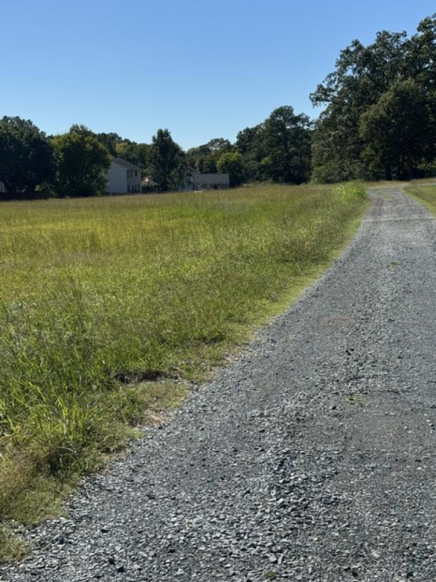 22.5 Acres great for Horses and a Farm Homesite - photo 5