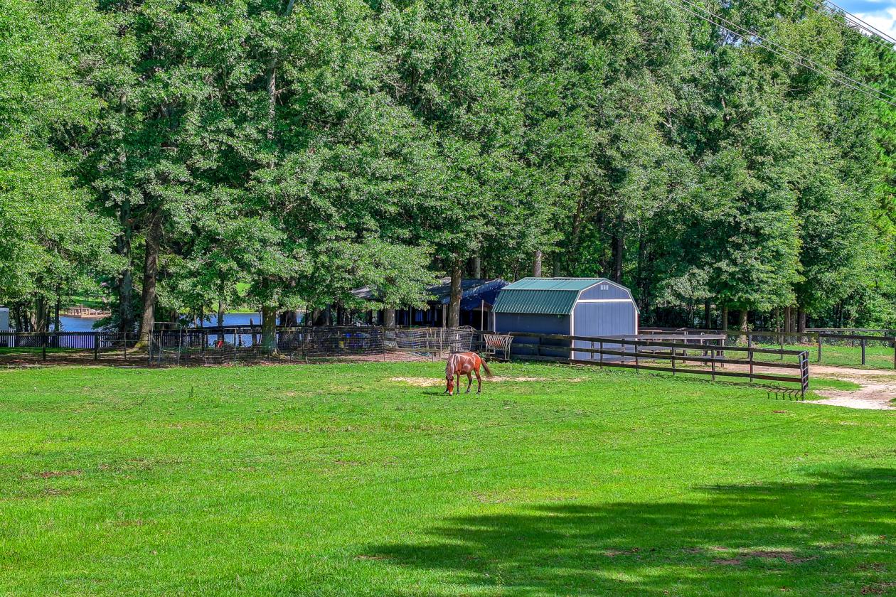 Horse-Ready & Waterfront - photo 17