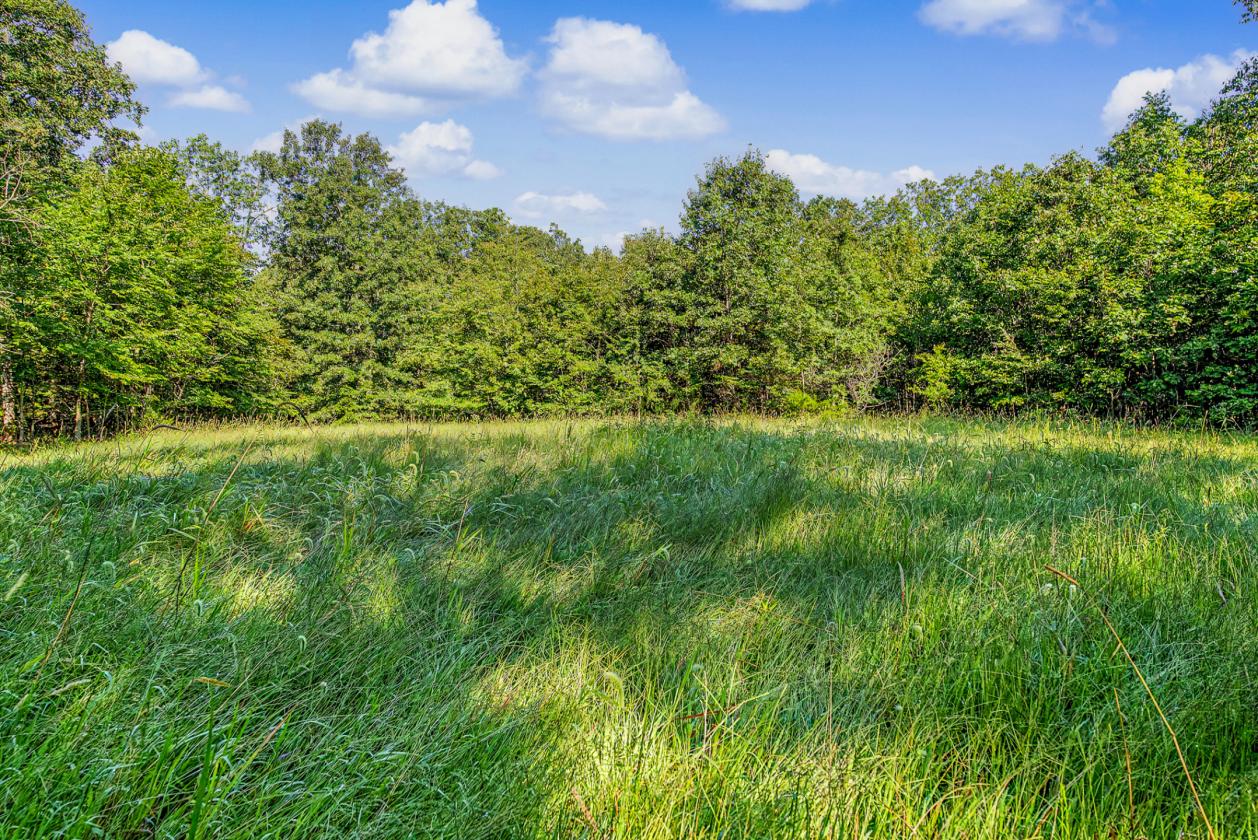 Perfect for the Outdoor Enthusiast! Stocked Pond! - photo 7