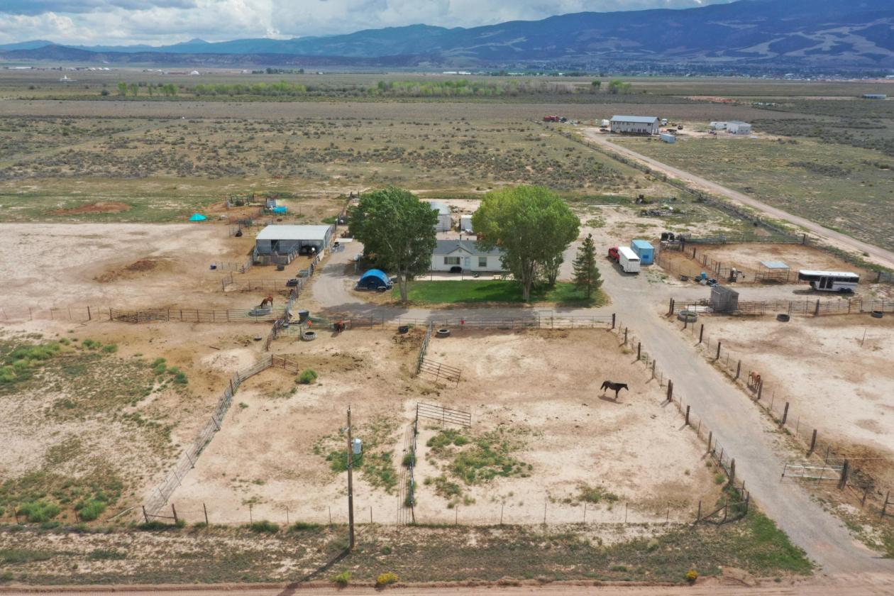 19.64 Acre Horse Property w/ Home and Outbuildings - photo 26