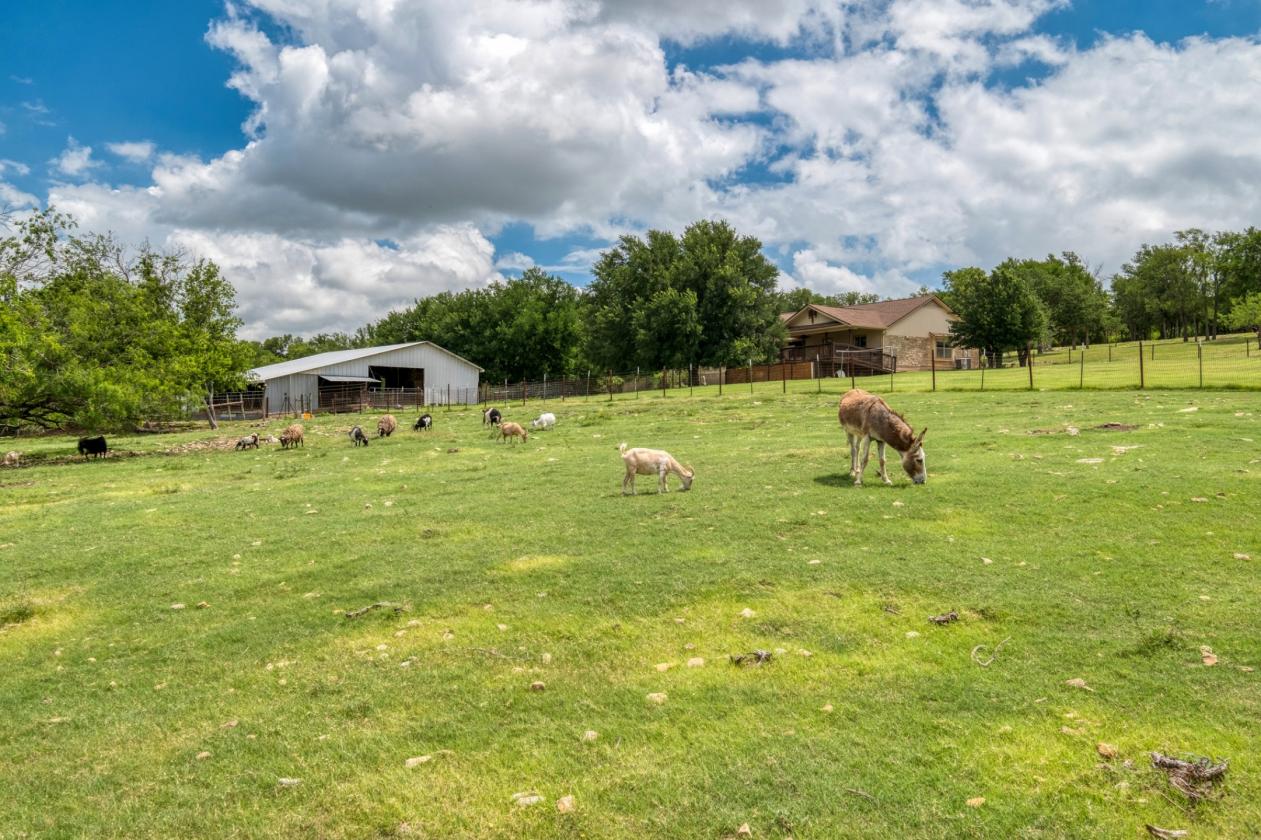 Picturesque mini farm, 8+ acres, pond ++ - photo 3