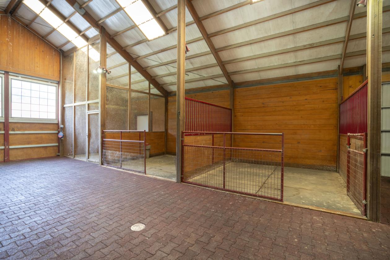 Exceptional Equestrian Estate on 134+ Acres - photo 8