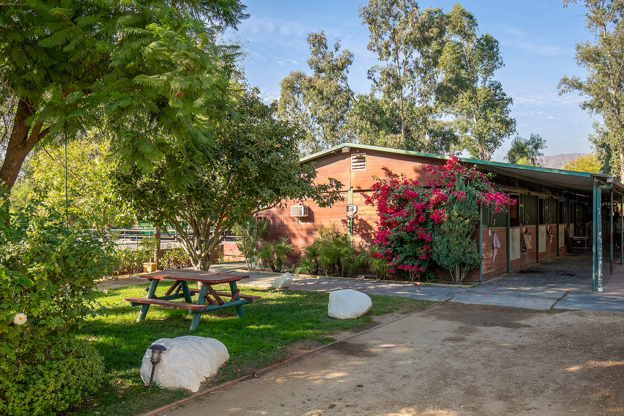LOS ANGELES Own a 5Acre, 60Stall Horse Farm in... Los Angeles