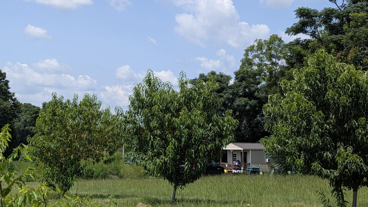 Prime 76 acre farm in Jackson County - photo 6
