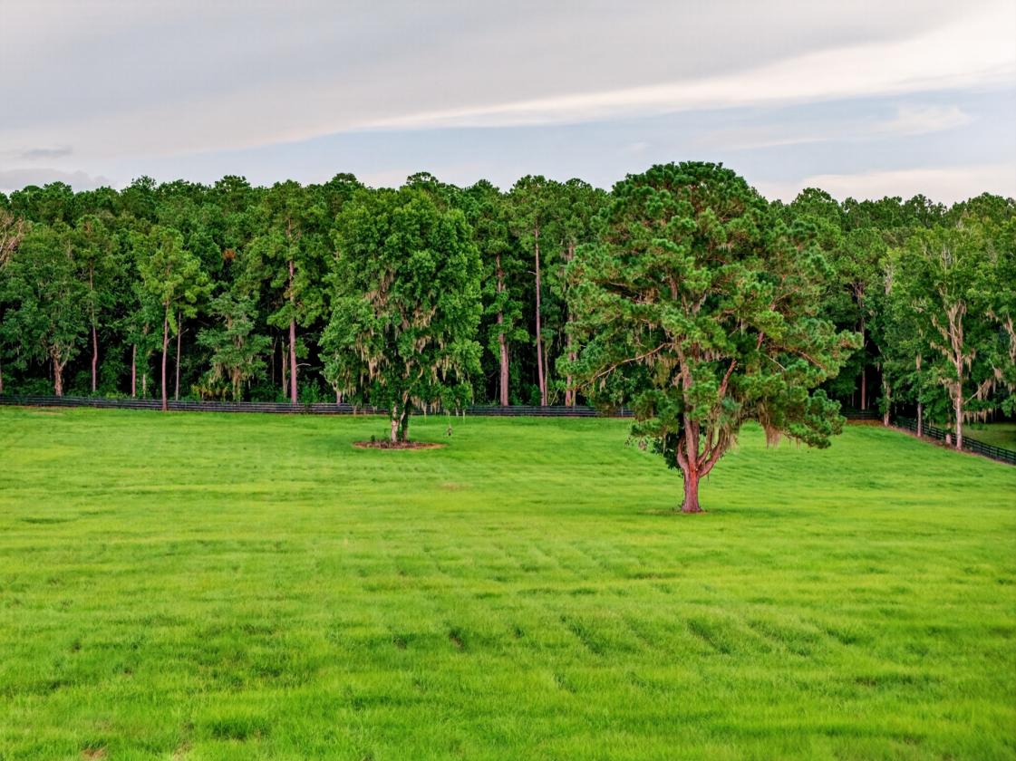 11 Acres Ready to Build Dream Farm 15 mins to WEC - photo 7