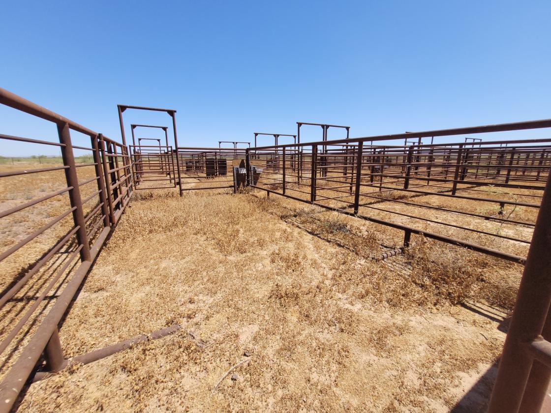 Eagle Eye - 10± Acres - photo 6