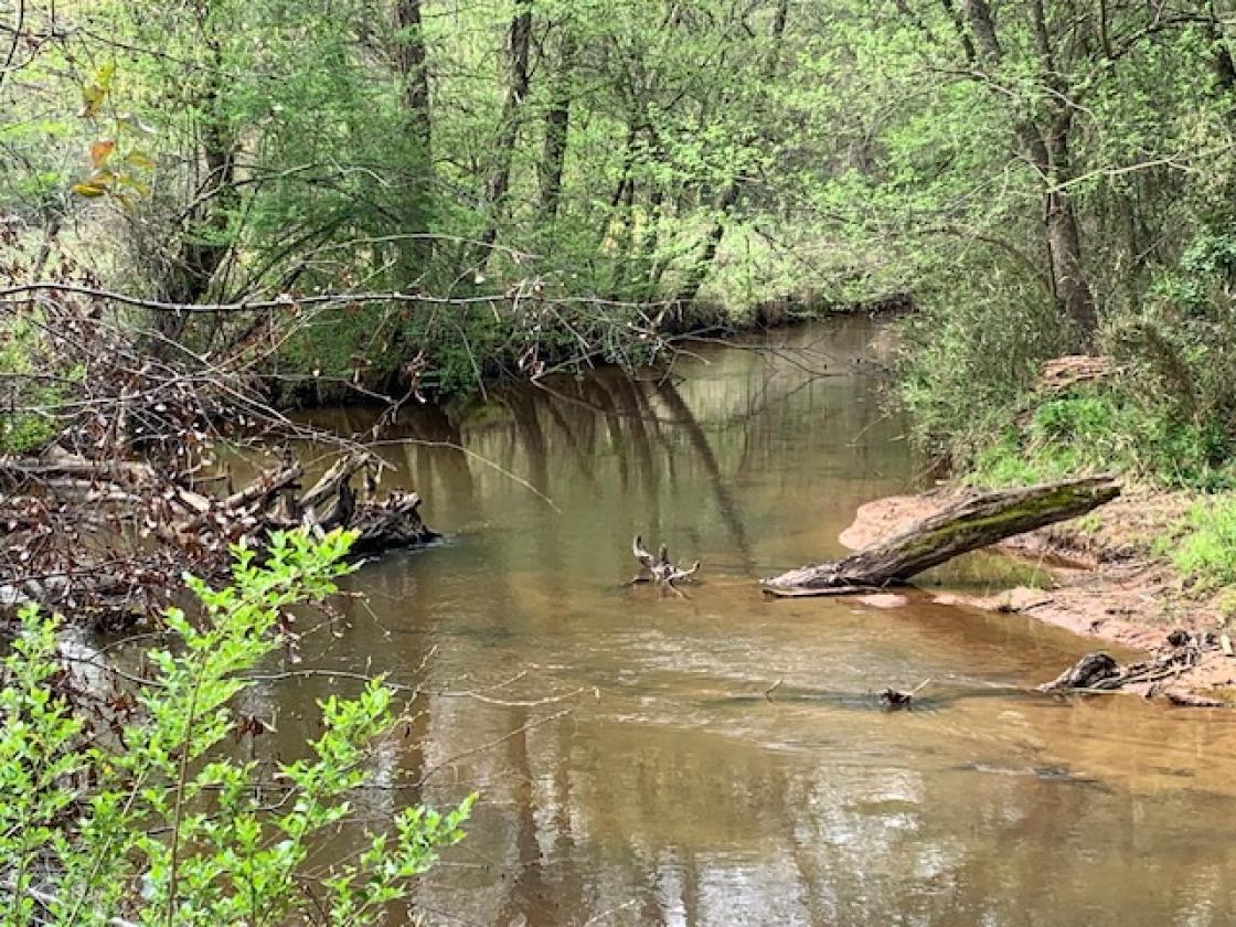 Madison County - Large Estate Farm - photo 19
