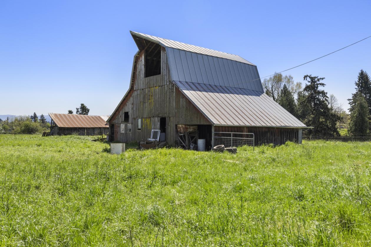 10 Acre Horse Property w/ Two Dwellings - photo 6
