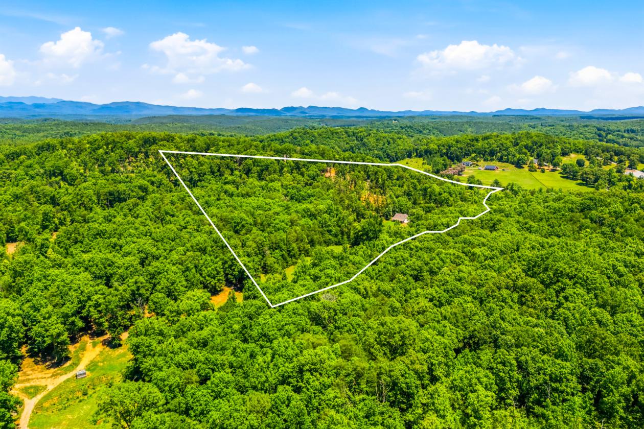 Equestrian estate with 40 acres - photo 11