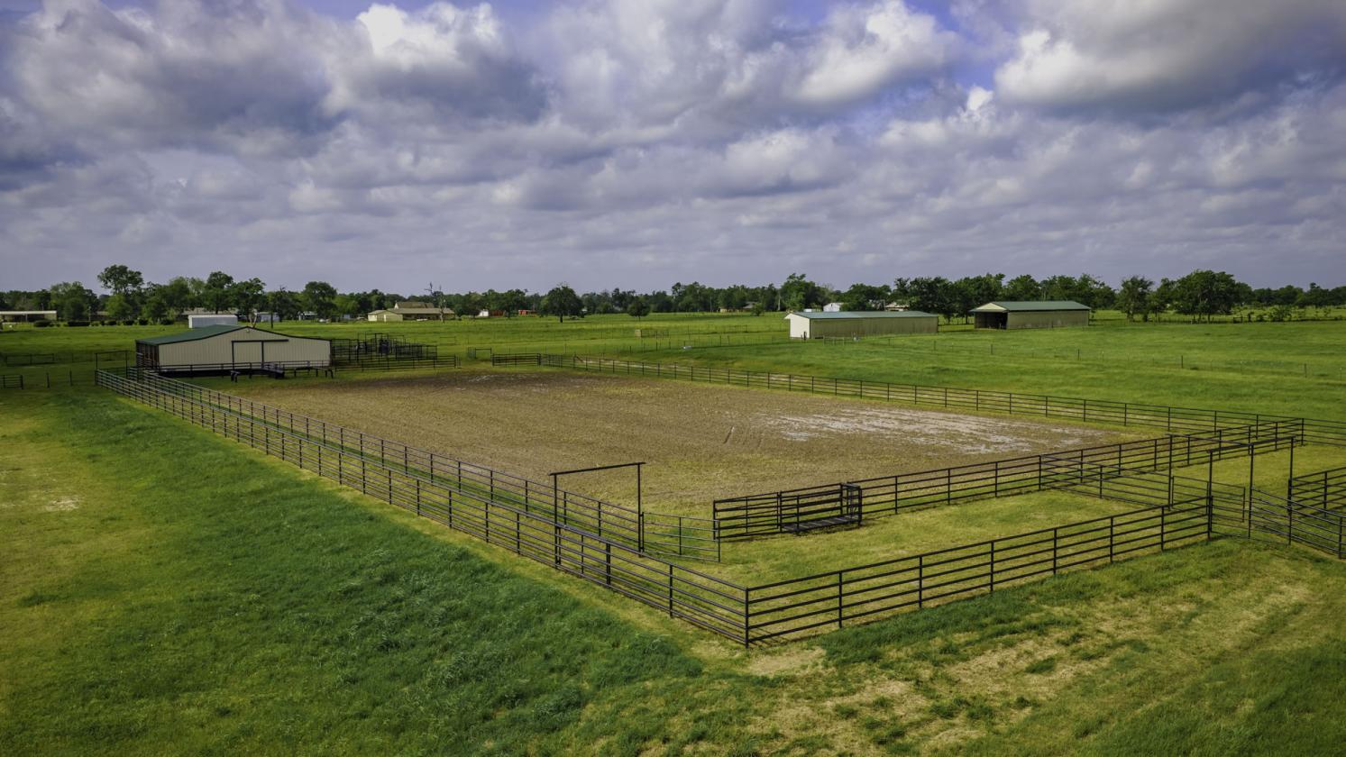 Premier Property with Luxury Home, Barn, and Arena - photo 9