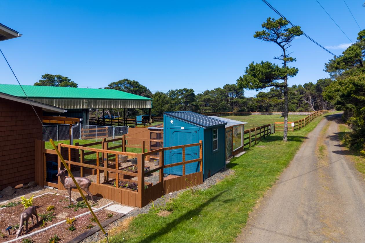 1.32 Acres with Panoramic Pacific Ocean Views - photo 8