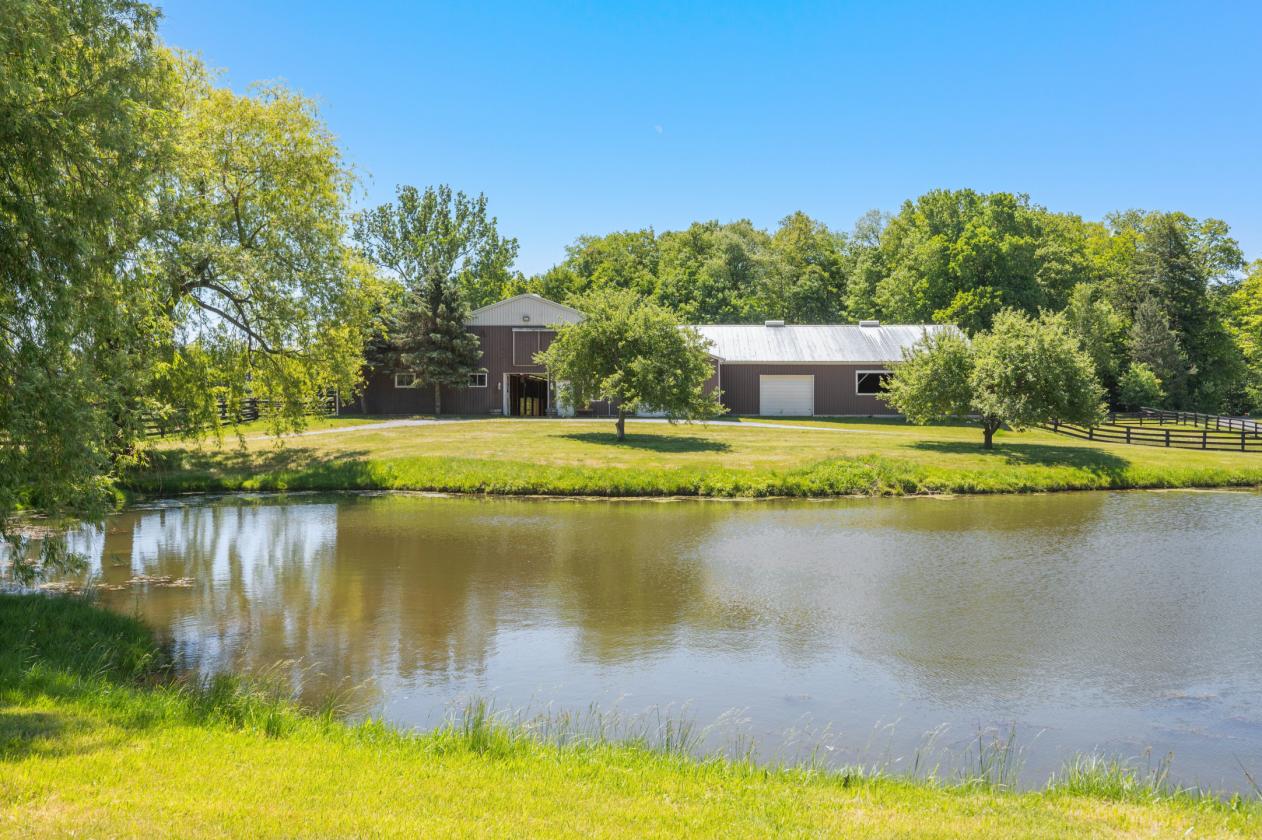 LUXURY EQUESTRIAN ESTATE - photo 17