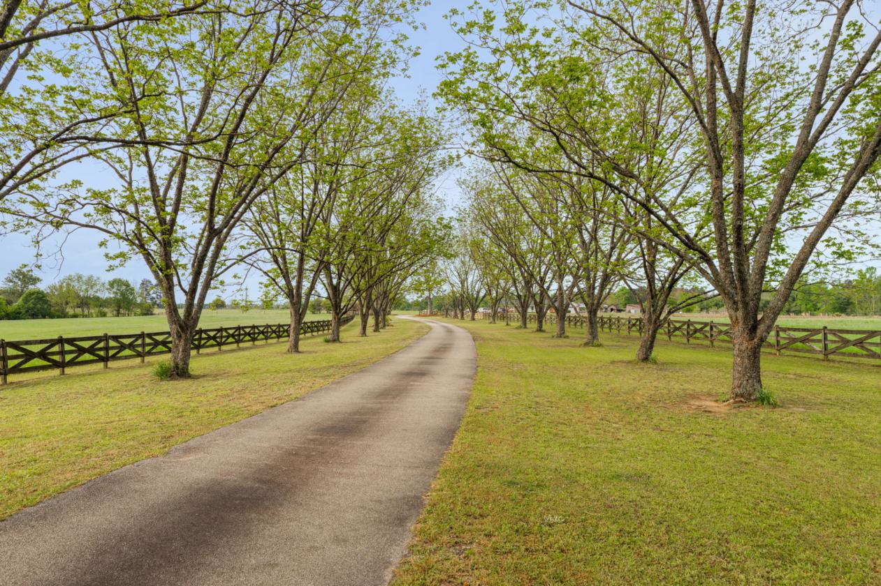 Piney Mount Farm - photo 4