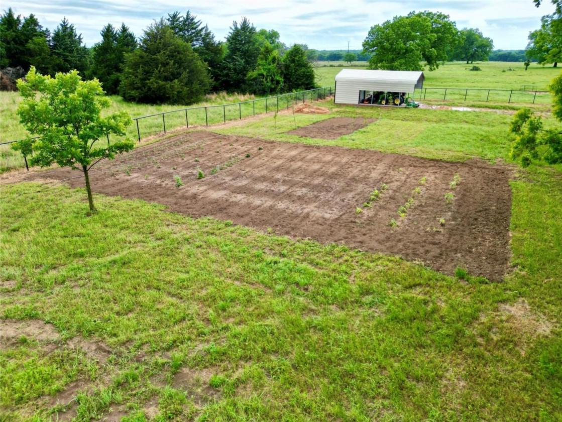 11 Acres of Pecan Trees - photo 25