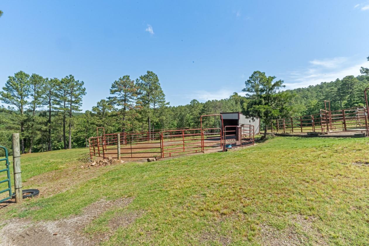 Equestrian Property Bordering National Forest - photo 23