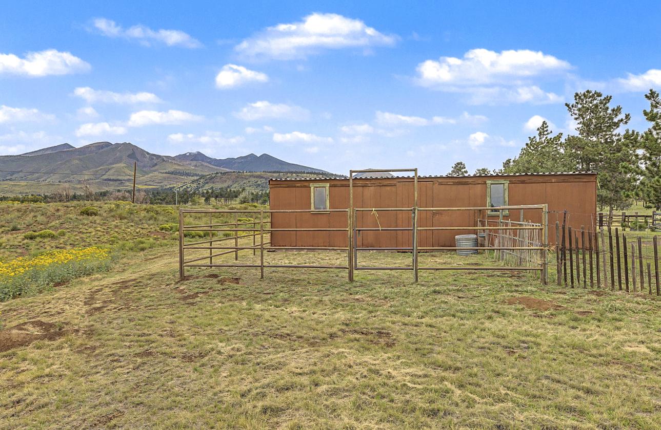 Horse Property on Nearly 4 Acres - photo 6