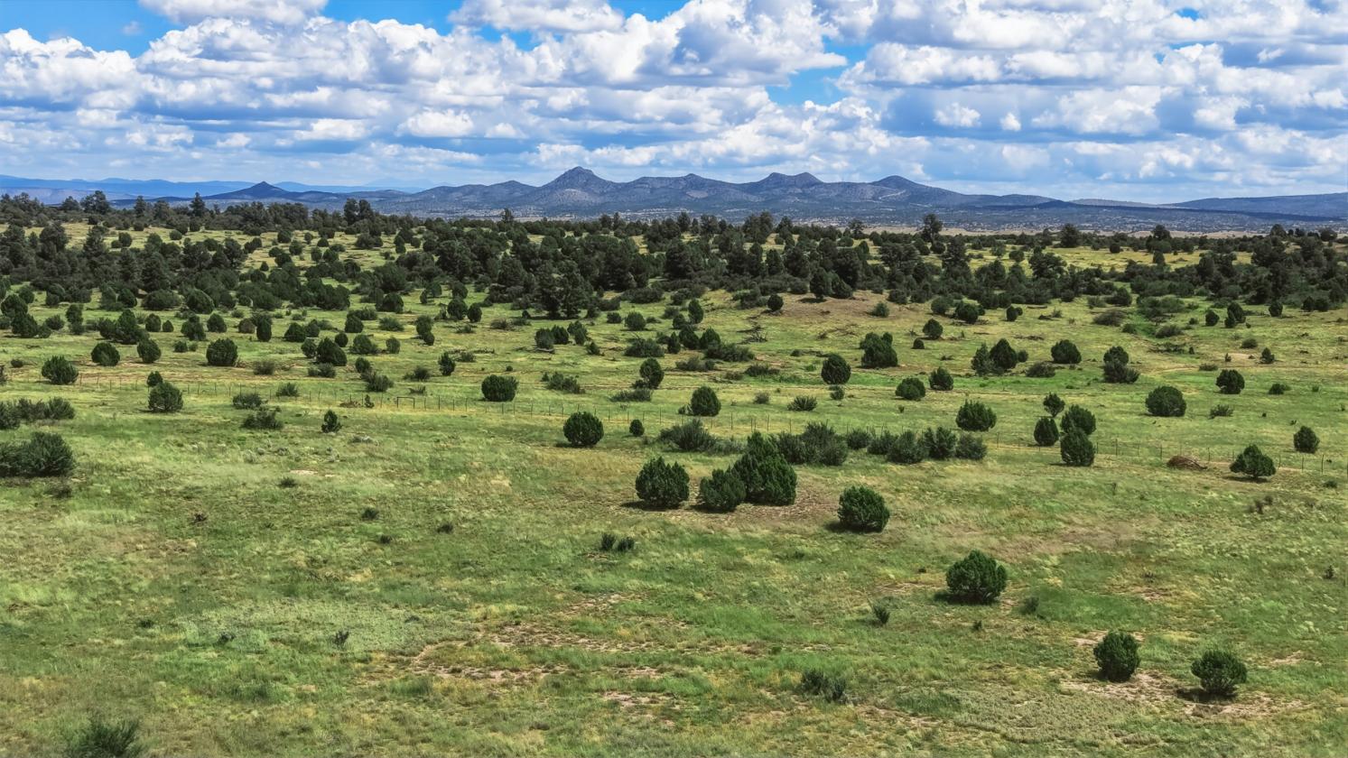 200 Acres in Yavapai County - photo 10