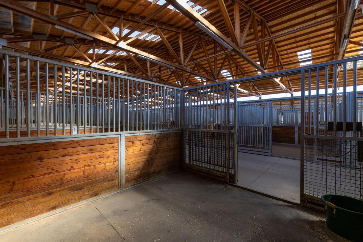 Commercial Horse Training Facility - photo 15