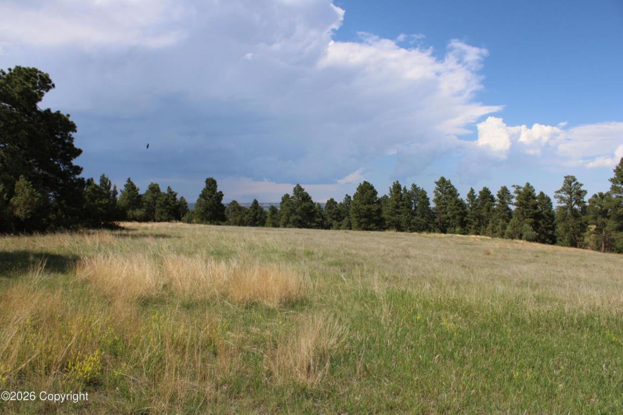 Tract 14 Belle River Ranch- NO Covenants -35+ Acre - photo 9