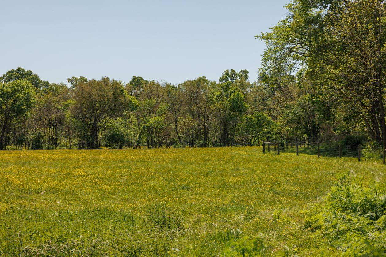 Stunning 1,000+ Acre Equestrian Land - photo 15