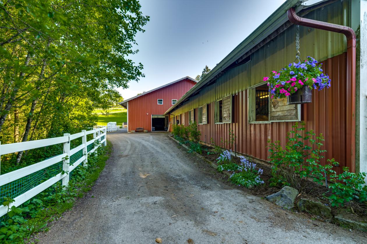 Gated 25-acre equestrian estate with sweeping Mt. - photo 19