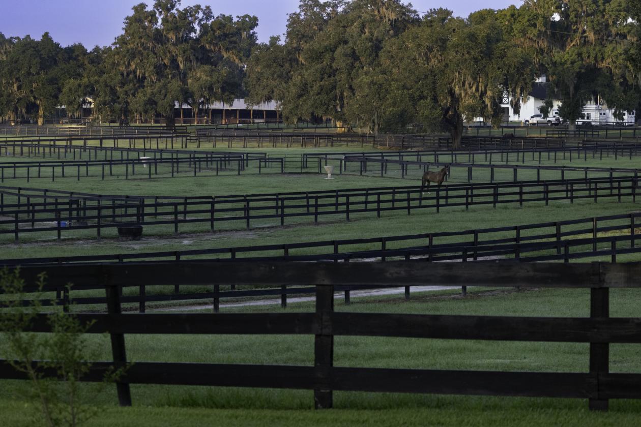 Kingwood Foxden - 4 miles to World Equestrian Center - photo 11