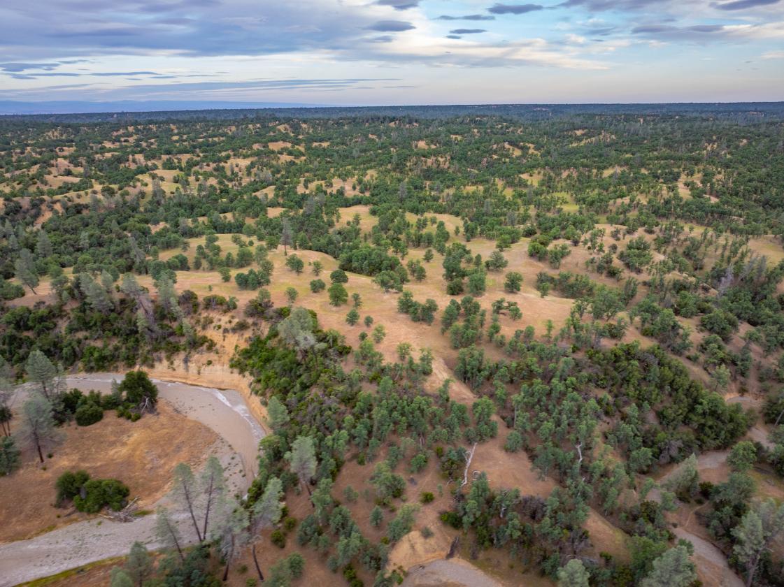 480 Acre Litte Crane Creek Ranch - photo 8