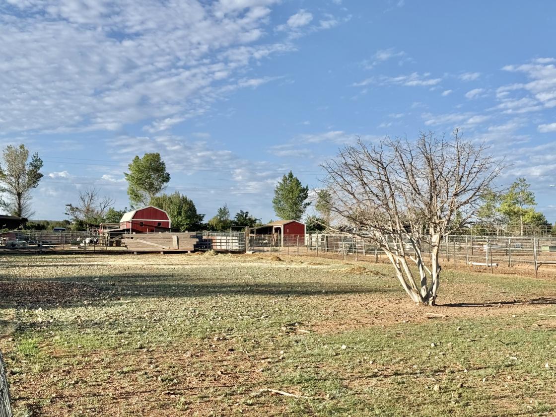 Horse Boarding/ Training Facility 2 Houses - photo 24