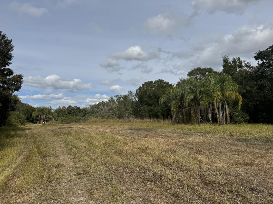15 Acres Keystone - photo 9