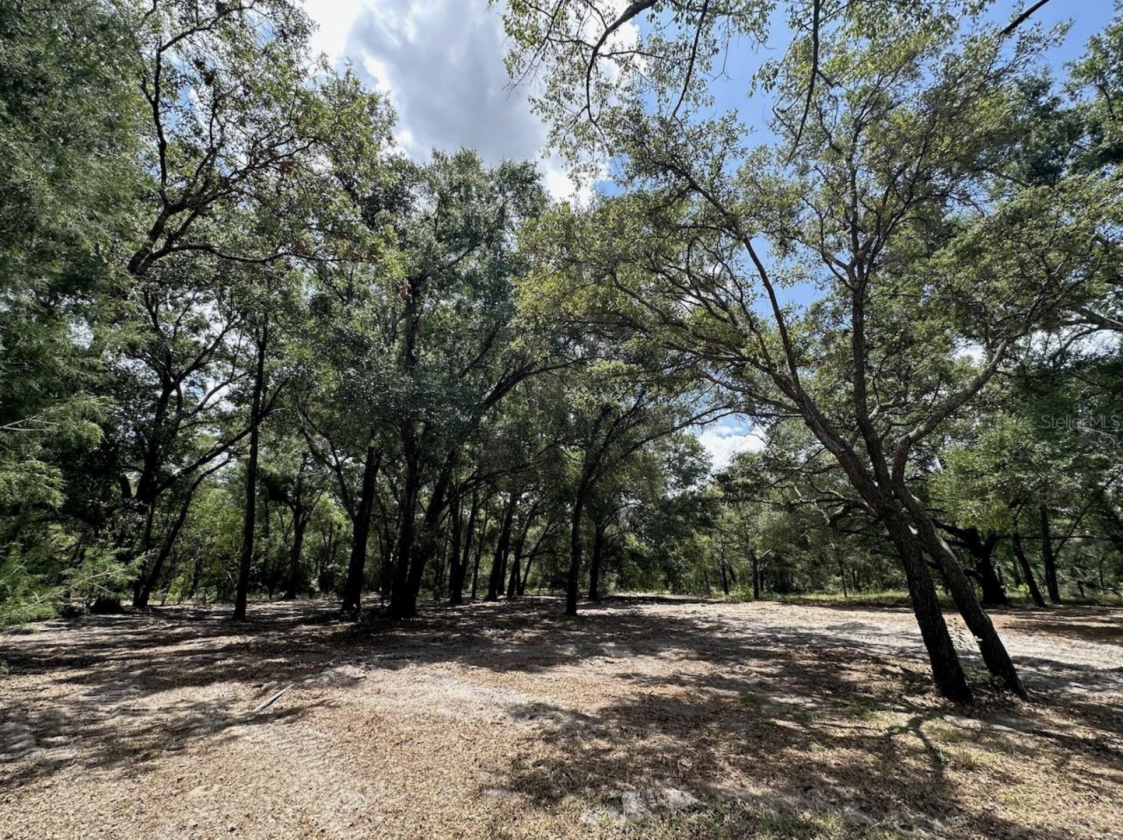 14.5 ACRES • NOW AR ZONED • HORSES/RVS • NO HOA! - photo 14