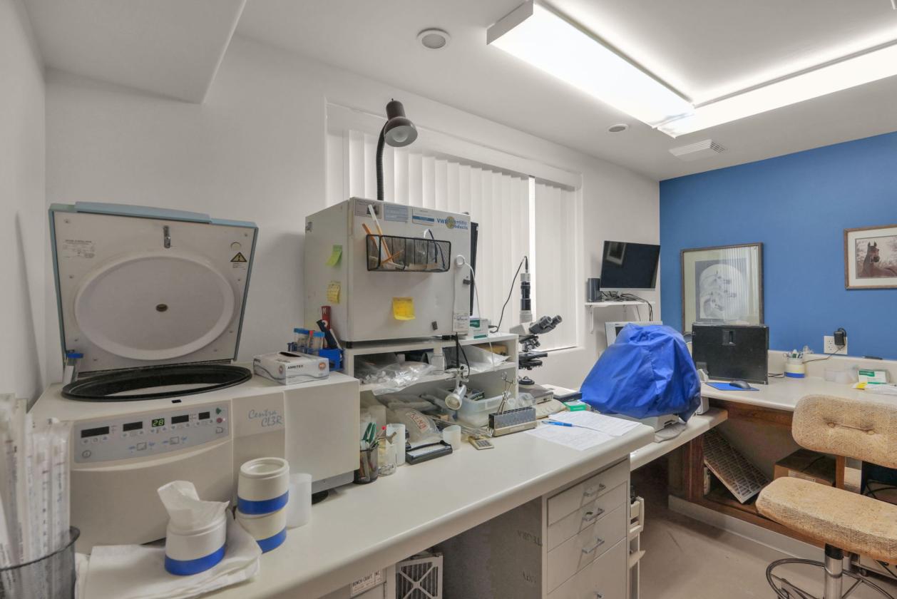 Equine Breeding, Training and Therapy Facility - photo 24
