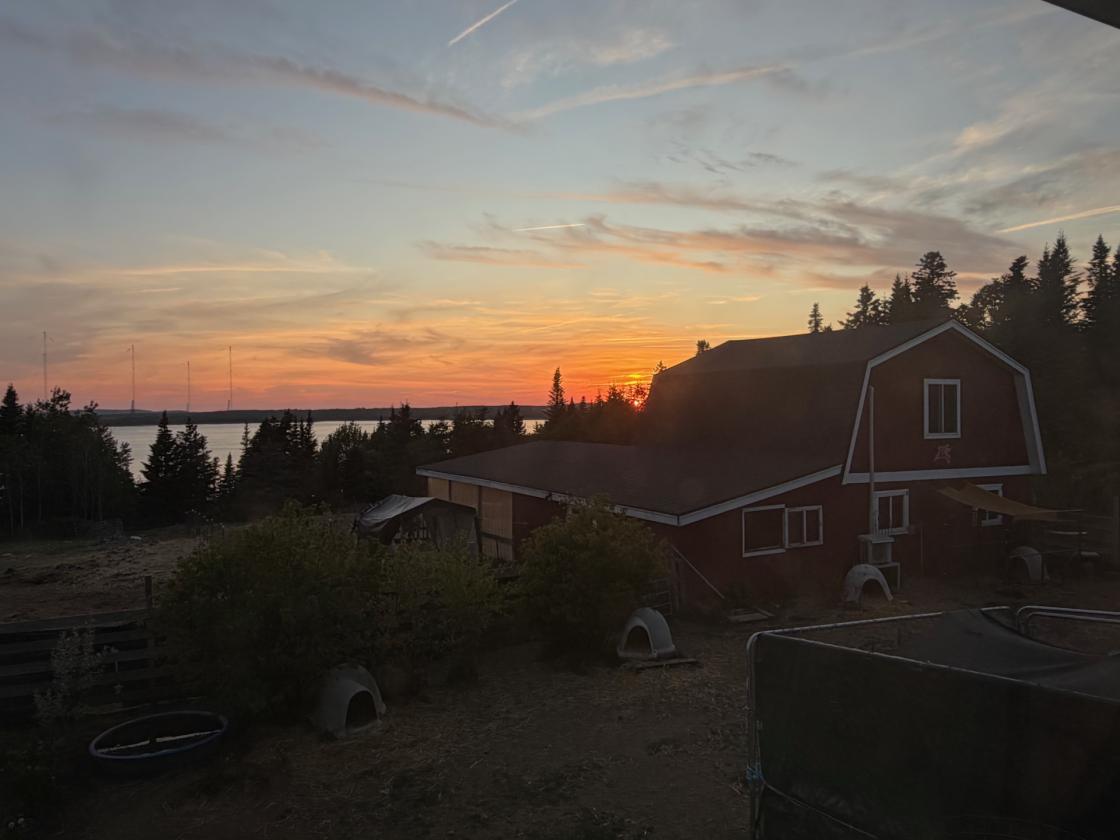 Salt Water Farm  -  Sun Rises First Here - photo 5