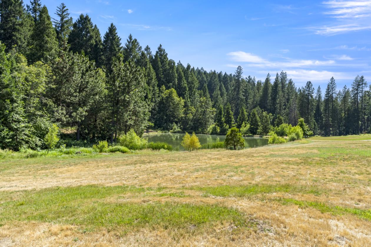 Beautiful Apple Hill Property - photo 28