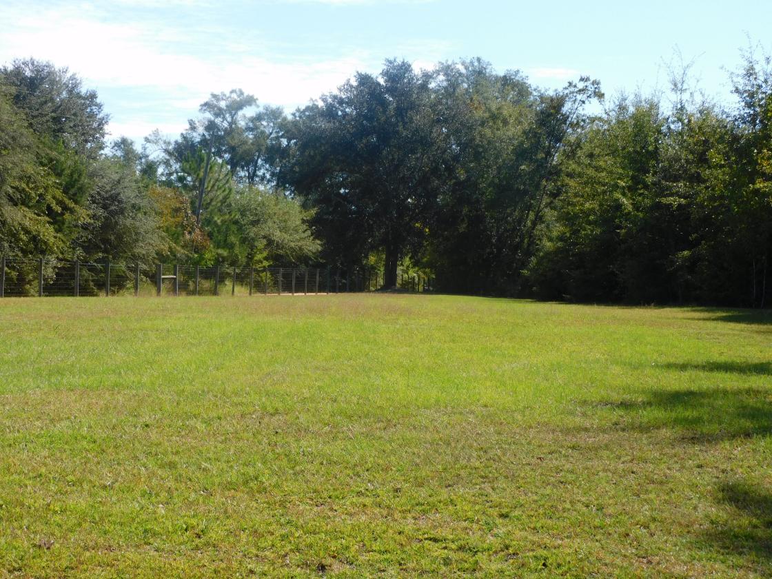 Croom Land - photo 11