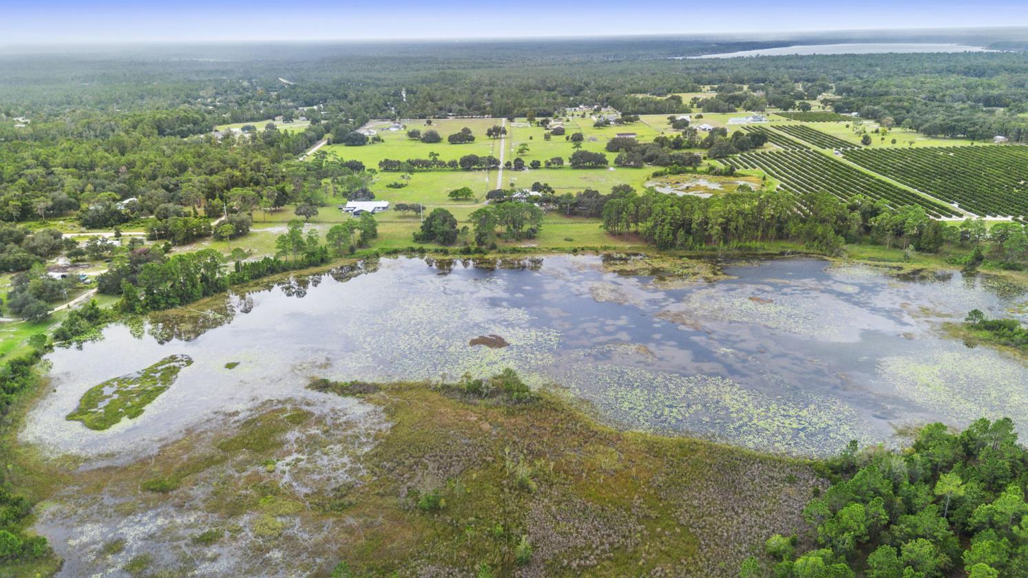 Beautiful 80 Acre Horse and Cattle Ranch - photo 25