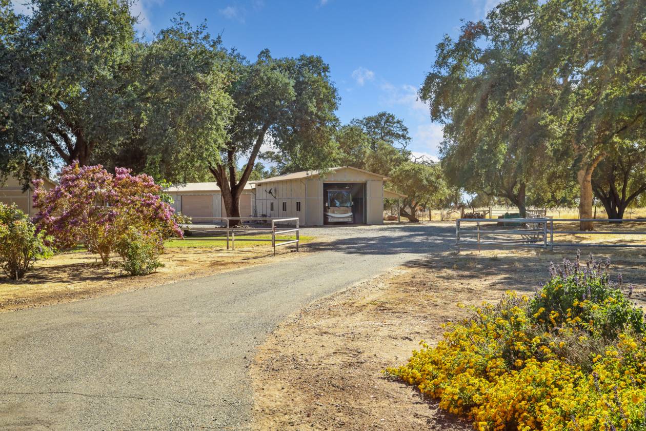 Estate with 7 pastures, 2 homes, lake, Vineyard - photo 23