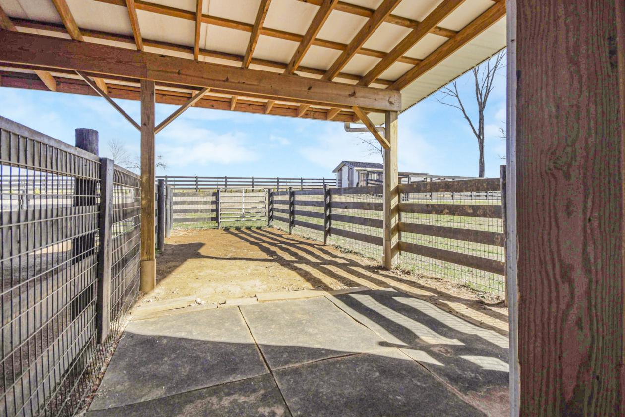 (Price Reduction) Horse Lover’s Dream Estate - photo 10