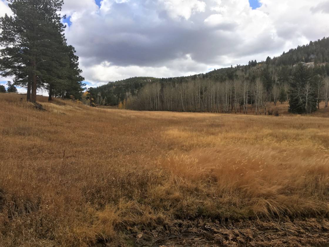 Historic Horse Ranch Jefferson County, CO Horse Property