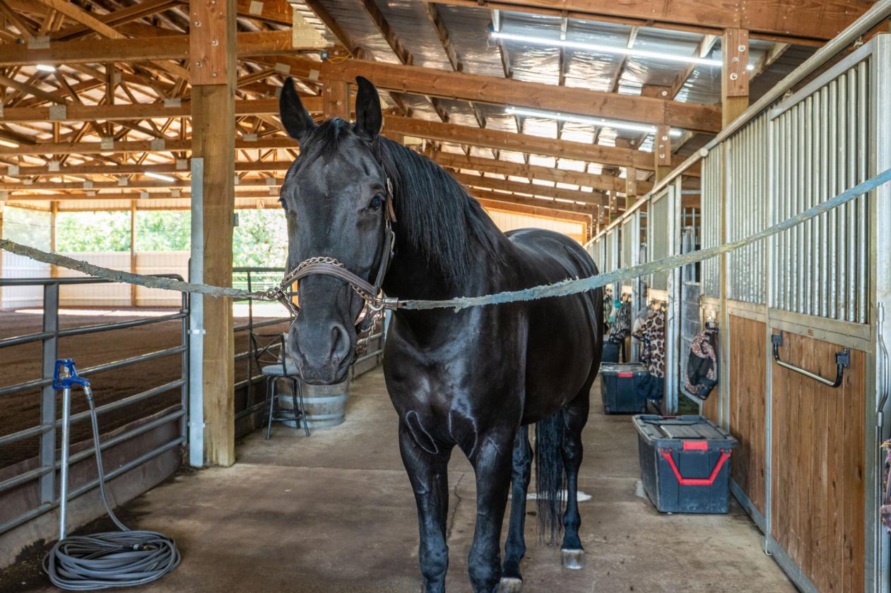 Boutique Equestrian Estate — Turnkey Move-In Ready - photo 22